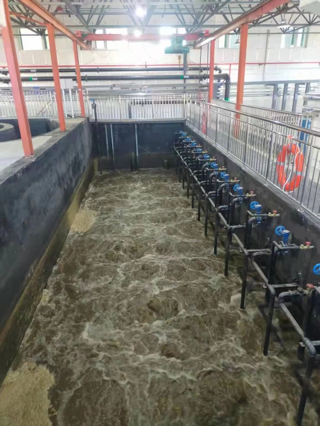水產養(yǎng)殖廢水處理技術